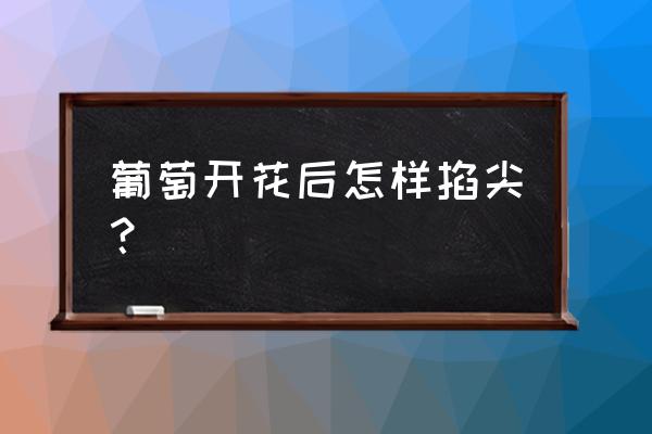 葡萄摘心要讲究时间和方法 葡萄开花后怎样掐尖？