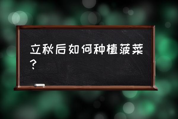 秋天种菠菜的方法和步骤 立秋后如何种植菠菜？