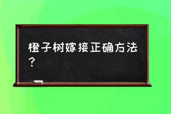 嫁接植物最快的方法 橙子树嫁接正确方法？