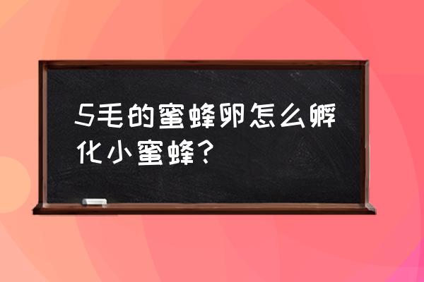 在小卖部买的蜜蜂卵怎么孵化 5毛的蜜蜂卵怎么孵化小蜜蜂？