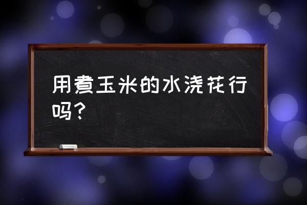 花盆种玉米的正确方法 用煮玉米的水浇花行吗？