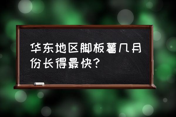 白脚板薯与紫脚板薯哪个好 华东地区脚板薯几月份长得最快？