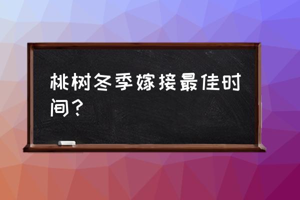 桃树二月份怎么嫁接 桃树冬季嫁接最佳时间？