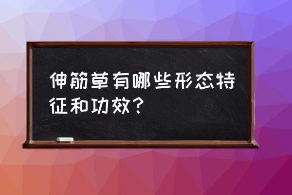 4399洛克王国锯齿孢子 伸筋草有哪些形态特征和功效？