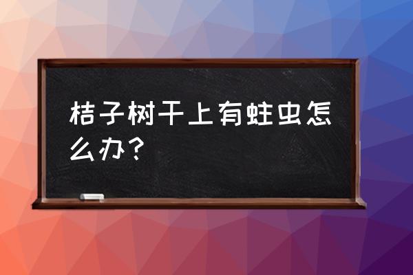 桔子里面有虫子怎么防治 桔子树干上有蛀虫怎么办？