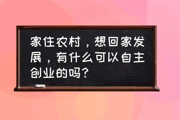 自主创业要具备什么 家住农村，想回家发展，有什么可以自主创业的吗？