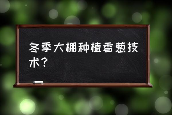 小葱长得又粗又壮的方法 冬季大棚种植香葱技术？