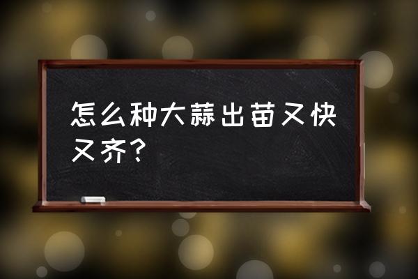 最佳种大蒜时间 怎么种大蒜出苗又快又齐？