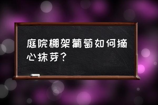 院子里怎么搭葡萄架 庭院棚架葡萄如何摘心抹芽？