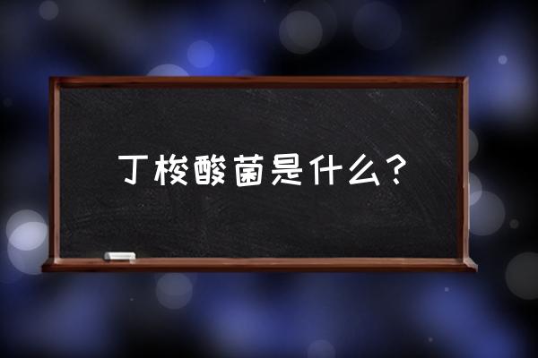 丁酸梭菌哪个牌子好 丁梭酸菌是什么？