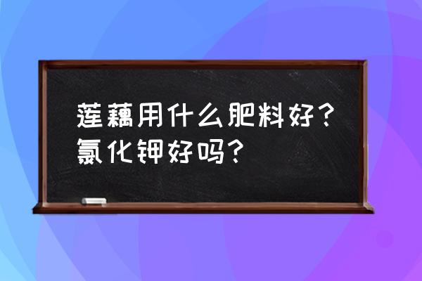 莲藕和鱼混养怎么施肥 莲藕用什么肥料好？氯化钾好吗？