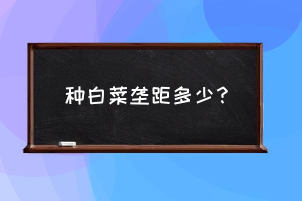 种大白菜最好的方法 种白菜垄距多少？