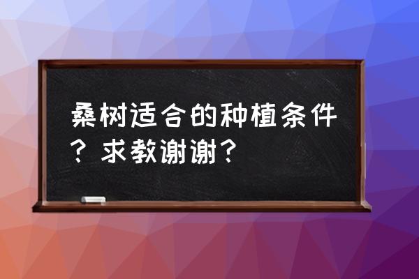 桑树种植的时间和方法 桑树适合的种植条件？求教谢谢？