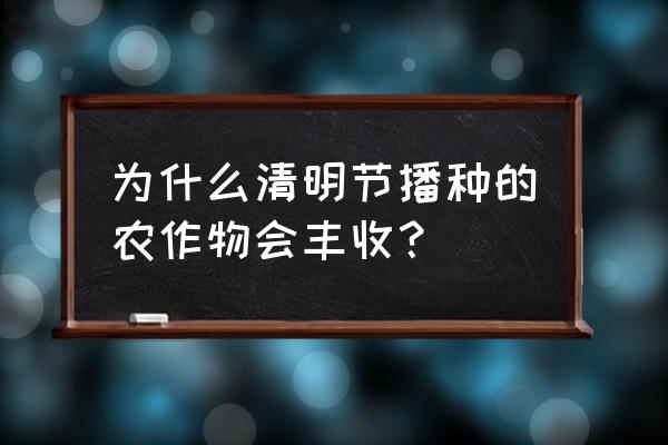 清明前后种瓜点豆跟哪个因素有关 为什么清明节播种的农作物会丰收？