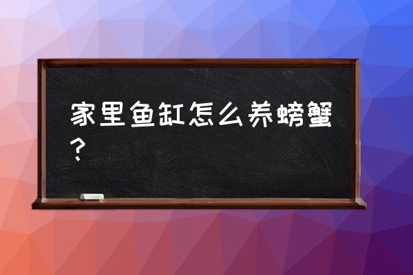 家里怎么养螃蟹才能让螃蟹活 家里鱼缸怎么养螃蟹？