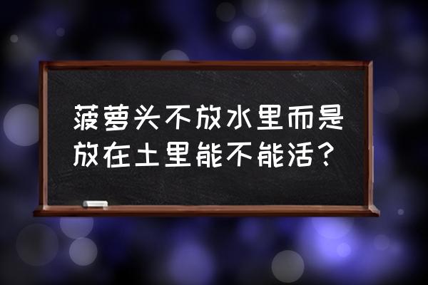 家庭种菠萝需注意什么 菠萝头不放水里而是放在土里能不能活？