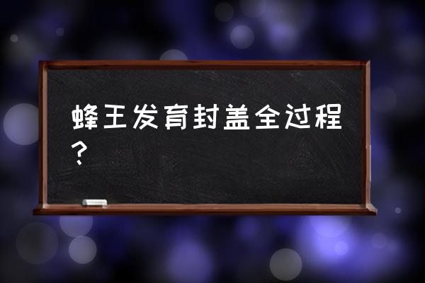 怎么学会培养最好的蜂王 蜂王发育封盖全过程？