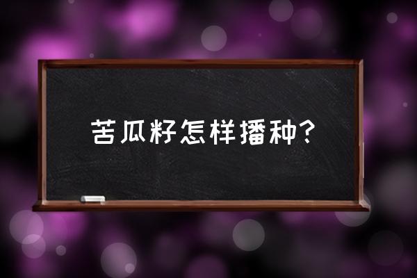 苦瓜籽怎么能快速发芽 苦瓜籽怎样播种？