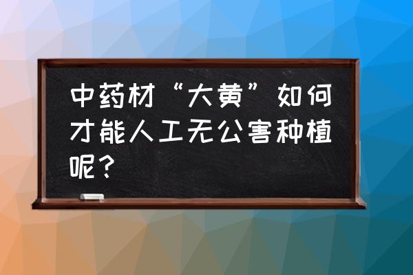 大黄生长的环境条件 中药材“大黄”如何才能人工无公害种植呢？