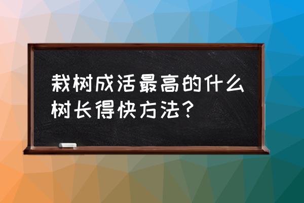 种树用什么方法能长得快 栽树成活最高的什么树长得快方法？