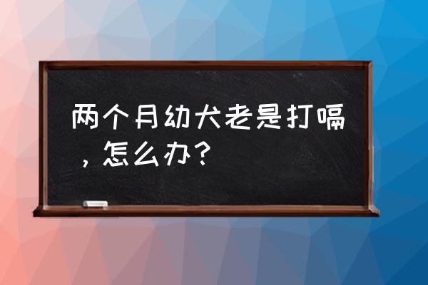 狗狗突然打嗝怎么解决 两个月幼犬老是打嗝，怎么办？