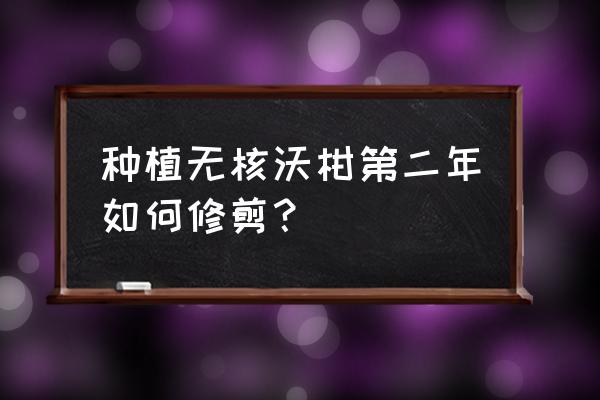 沃柑种植全套技术 种植无核沃柑第二年如何修剪？