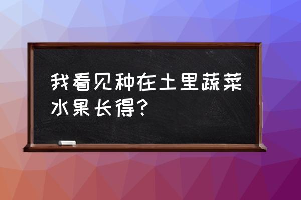 十八种水果籽盆栽水培 我看见种在土里蔬菜水果长得？