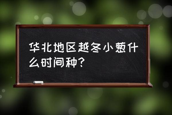 越冬小葱的种植种子怎么处理 华北地区越冬小葱什么时间种？