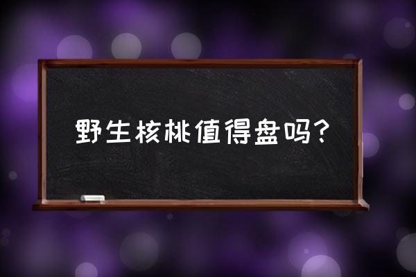 云南野生核桃值得盘吗 野生核桃值得盘吗？