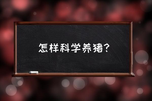 养猪的圈舍怎样建设 怎样科学养猪？