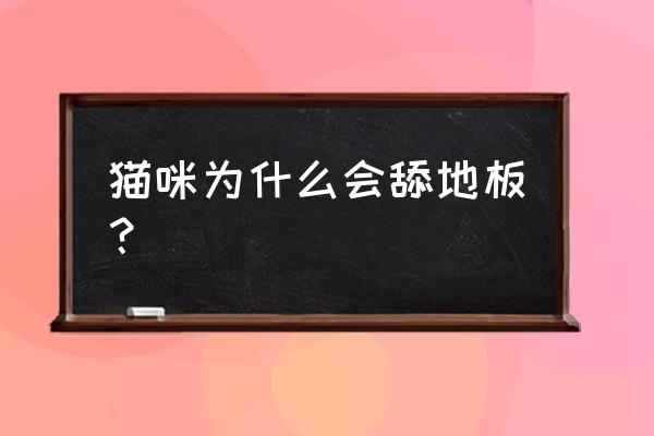 猫为什么用屁股蹭地板 猫咪为什么会舔地板？