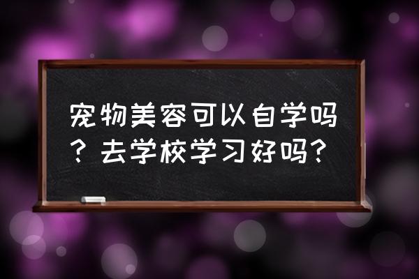 宠物美容师多少岁可以学 宠物美容可以自学吗？去学校学习好吗？