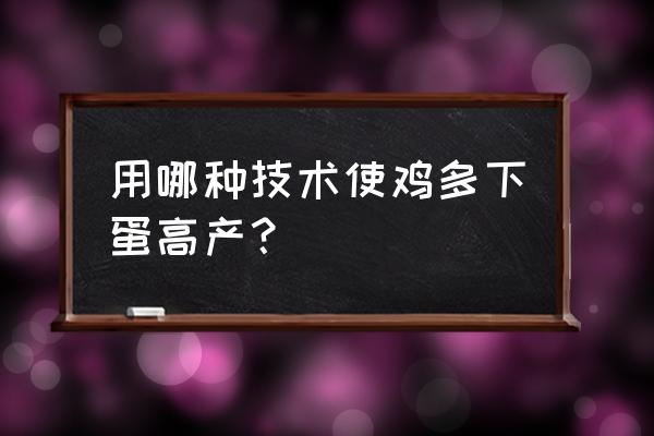 铁鸡笼的做法 用哪种技术使鸡多下蛋高产？