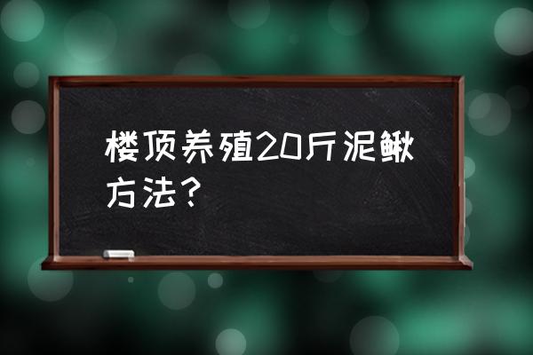 怎么在家里养殖泥鳅 楼顶养殖20斤泥鳅方法？