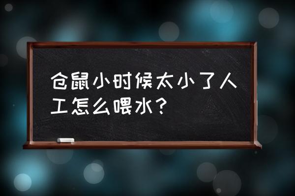 如何养好幼年仓鼠的方法 仓鼠小时候太小了人工怎么喂水？