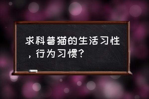 一般狗有哪些生活习性 求科普猫的生活习性，行为习惯？