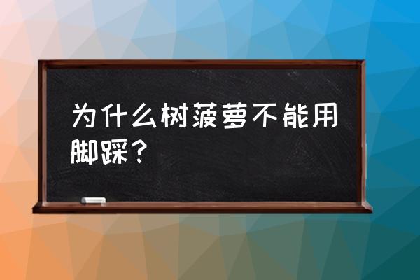 大树菠萝什么人不适合吃 为什么树菠萝不能用脚踩？