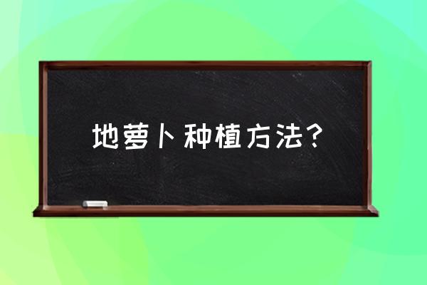 种植萝卜的最佳方法 地萝卜种植方法？