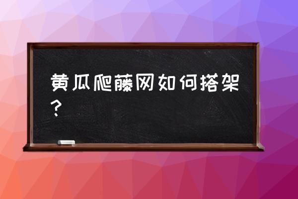 黄瓜搭架详细方法图片步骤 黄瓜爬藤网如何搭架？