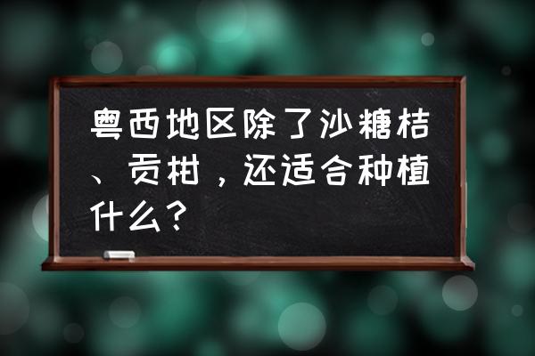 桔子树叶子黄了还卷叶怎么办 粤西地区除了沙糖桔、贡柑，还适合种植什么？