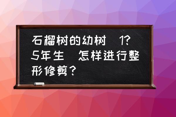 石榴树怎样剪大枝秘诀 石榴树的幼树(1?5年生)怎样进行整形修剪？