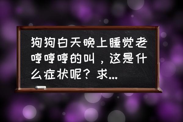 狗狗老是晚上乱叫怎么办 狗狗白天晚上睡觉老哼哼哼的叫，这是什么症状呢？求找答案？