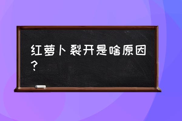 如何防止胡萝卜裂口 红萝卜裂开是啥原因？