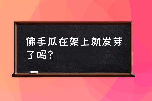 佛手瓜催芽的时候哪头朝上 佛手瓜在架上就发芽了吗？