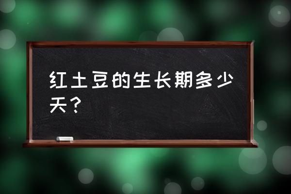 马铃薯是地下块茎膨大才开花吗 红土豆的生长期多少天？