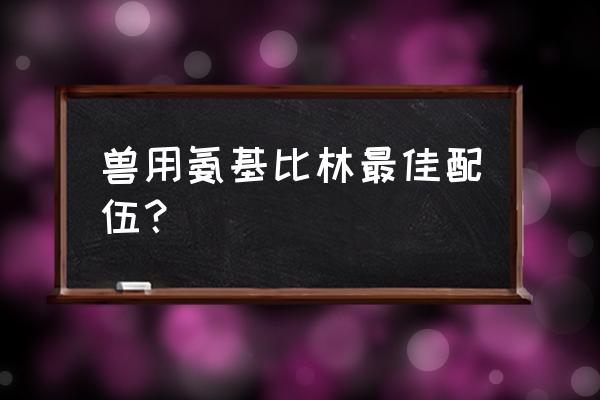 母猪炎症饲料添加什么 兽用氨基比林最佳配伍？