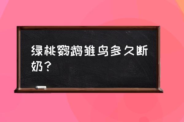 牡丹鹦鹉怎么分辨年龄最准确 绿桃鹦鹉雏鸟多久断奶？