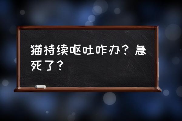 猫咪一直呕吐的原因 猫持续呕吐咋办？急死了？