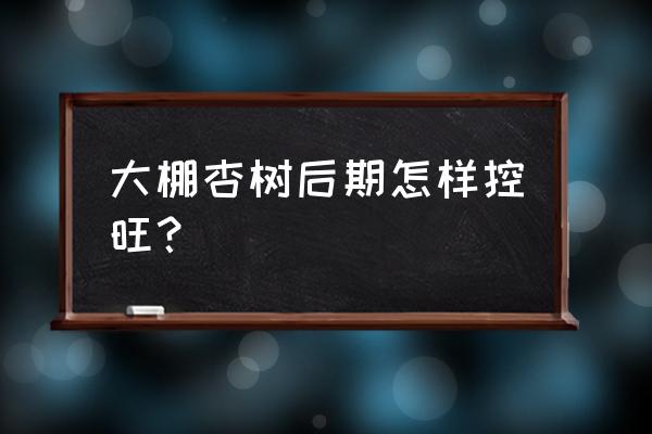 杏树施肥施什么肥料好 大棚杏树后期怎样控旺？