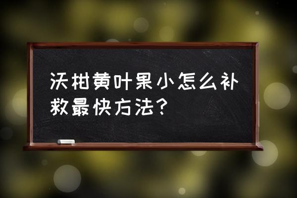 柑橘出现黄叶和掉叶情况怎么办 沃柑黄叶果小怎么补救最快方法？